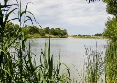 Проблемні питання щодо регіонального парку «Ялівщина» обговорили у Чернігові